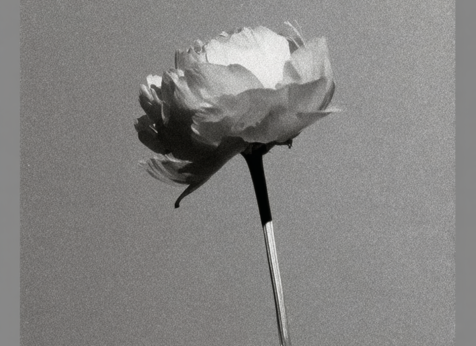 Toekomstproof merk bouwen met AI: wat écht het verschil maakt